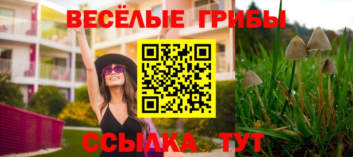 Копейск  Галлюциногенные грибы Psilocybine cubensis  что такое   Вход с VPN  Псилоцибиновые грибы прущие грибы 